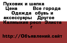 Пуховик и шапка  Adidas  › Цена ­ 100 - Все города Одежда, обувь и аксессуары » Другое   . Калмыкия респ.,Элиста г.
